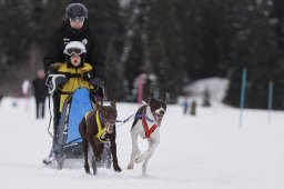 Lenzerheide 2013